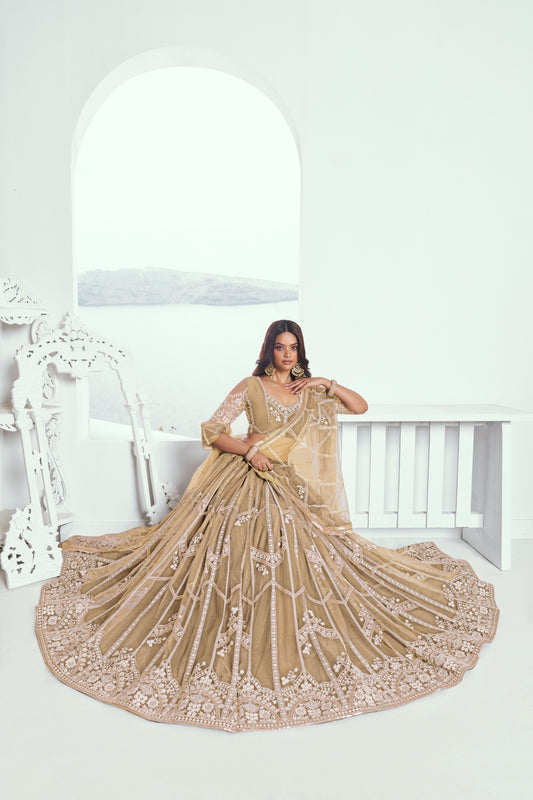 Beige(Chiqu) Net Lehenga Choli With Sequence & Cotton Thread Work Embroidery Work