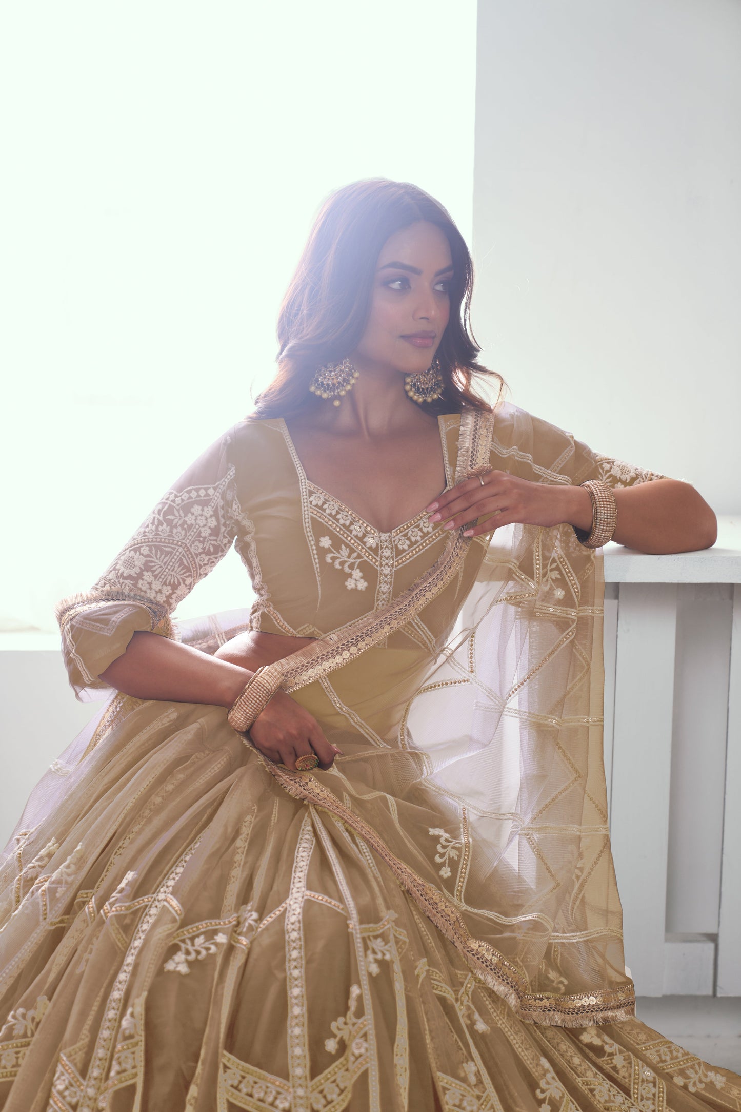 Beige(Chiqu) Net Lehenga Choli With Sequence & Cotton Thread Work Embroidery Work
